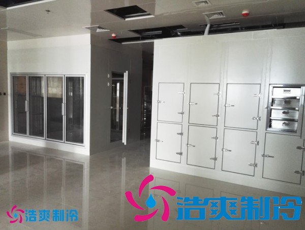 建造2-8℃社區(qū)衛(wèi)生中心冷庫（藥品冷藏庫）設(shè)備安裝造價多少