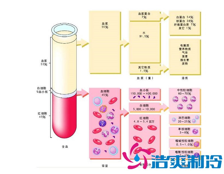 -30℃～-80℃血漿蛋白低溫冷凍庫規(guī)范，冷庫安裝價(jià)格